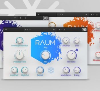 Native Instruments Raum virtual reverb plug-in audio pro daw software audiofader
