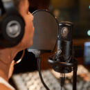 Warm Audio WA-8000 microfono condensatore valvolare studio recording pro audio sony c800 midiware