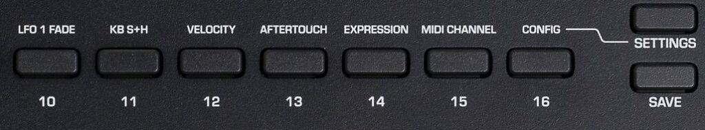 Moog Messenger review opinion test preview luca pilla audiofader muse labirynth price entry level synthesizer